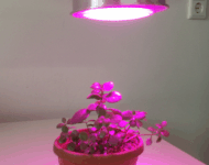 LED Cresterea Plantelor