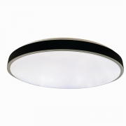 Aplica LED 42cm cu 3 functii neagra IP44 36W