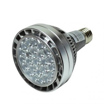 Bec spot LED PAR30 30W