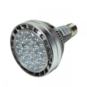 Bec spot LED PAR30 30W