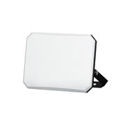 Proiector LED cu dispersor mat 50W 4000Lm IP65 4000K cablu 30cm